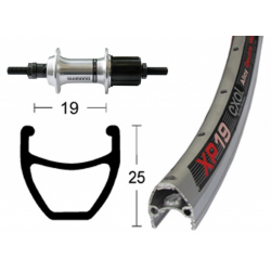 Ruota Posteriore 28x1.75 36F Cass. 7v Exal XP19 arg/anod/niro