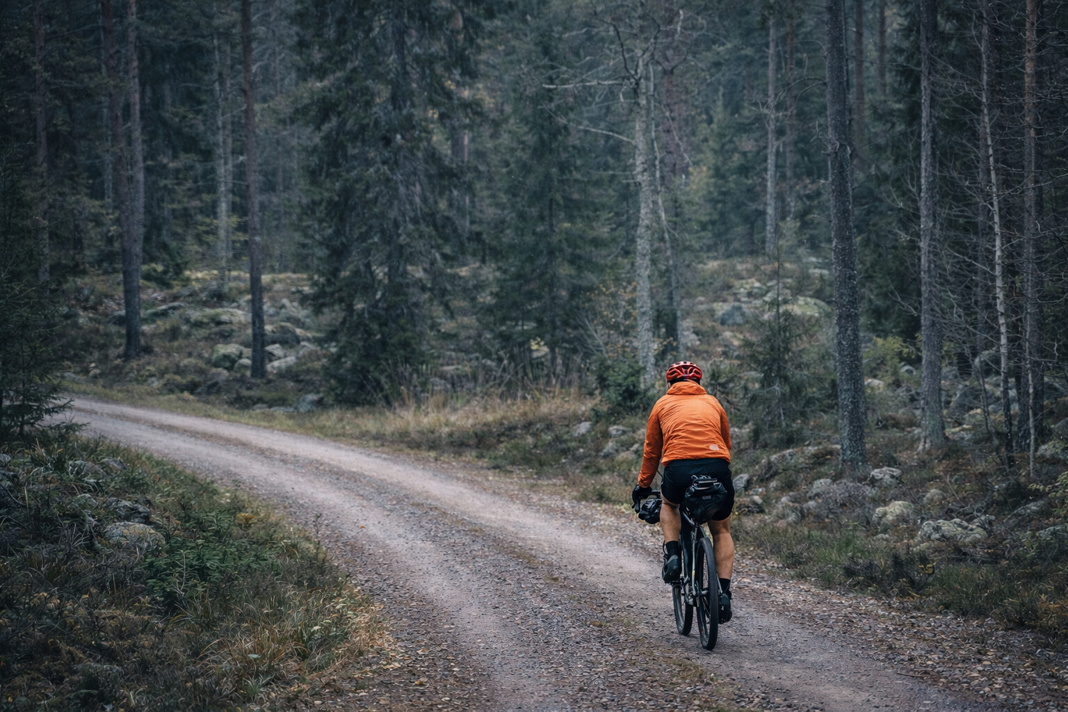 Adventure bike on forest roads