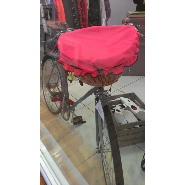 Georgia in Dublin Dorothy Basket Cover