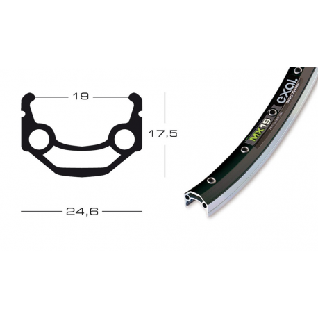cerchione Exal MX 19 28" col.arg.. 622-19,buco p.val. 8,5mm,36 buchi,c.occ.