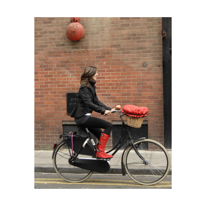 Georgia in Dublin Dorothy Basket Cover