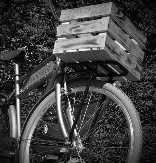 ATRANVELO Cesto bici in legno naturale "Woody"