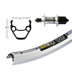 RP 26x1.75 RM40, 8V, QR, 36 fori Exal ZX 19 argento/brunito, raggi Niro