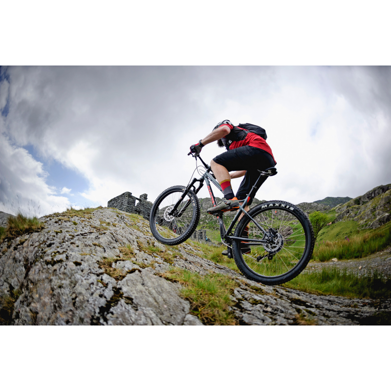 genesis tarn 20 2018