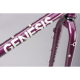 GENESIS 2021 Croix de Fer 725 12/12 Frameset