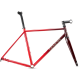 GENESIS 2021 Volare 853 Disc Frameset