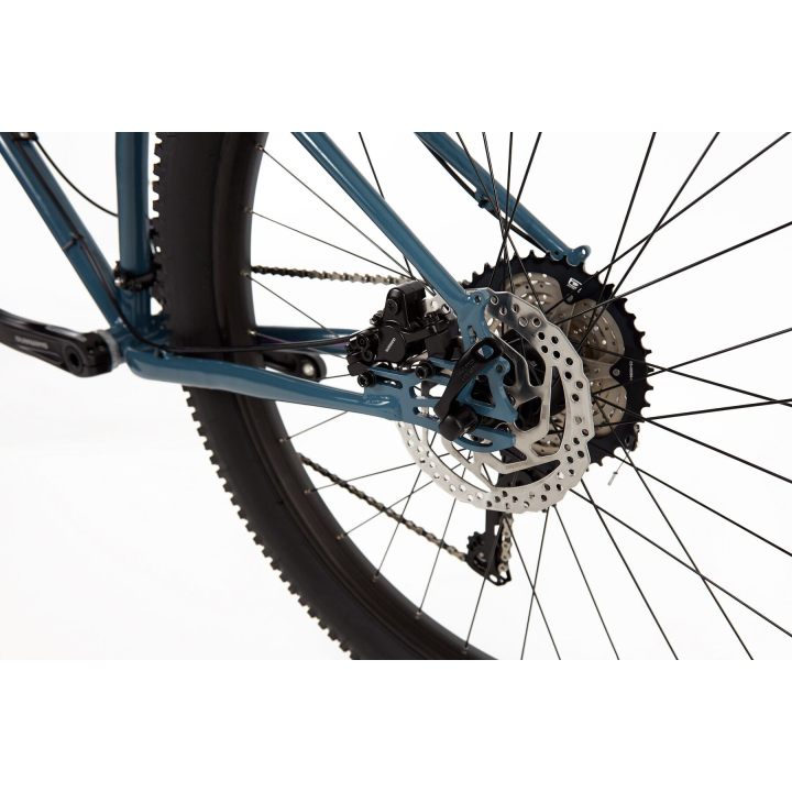 GENESIS Longitude 2022