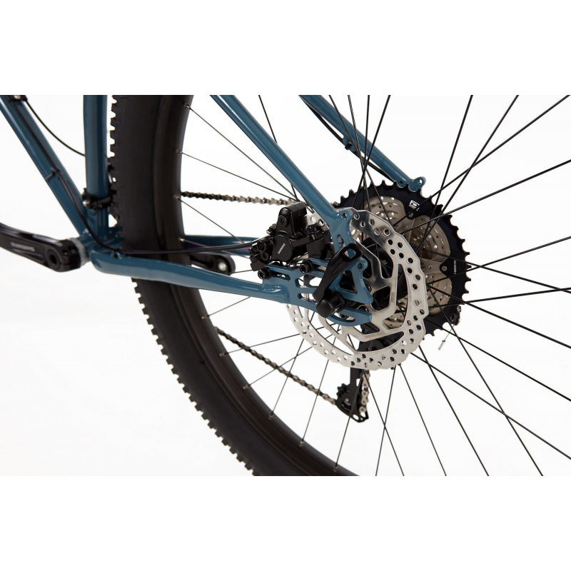 genesis longitude fs