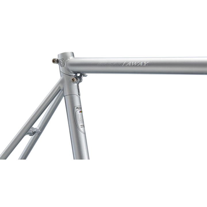 RITCHEY Break-Away Road Logic Set Telaio e Forcella - Tule Fog