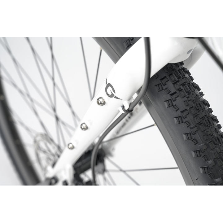 GENESIS Croix de Fer 10