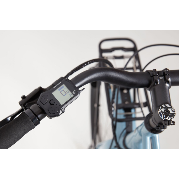 GENESIS Columbia Road - E-Bike