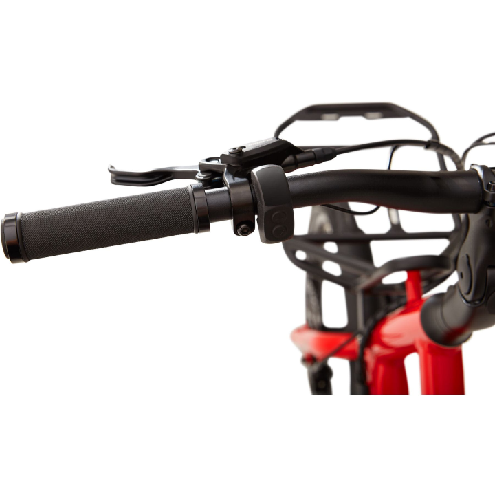 RIDGEBACK Errand - E-Cargo