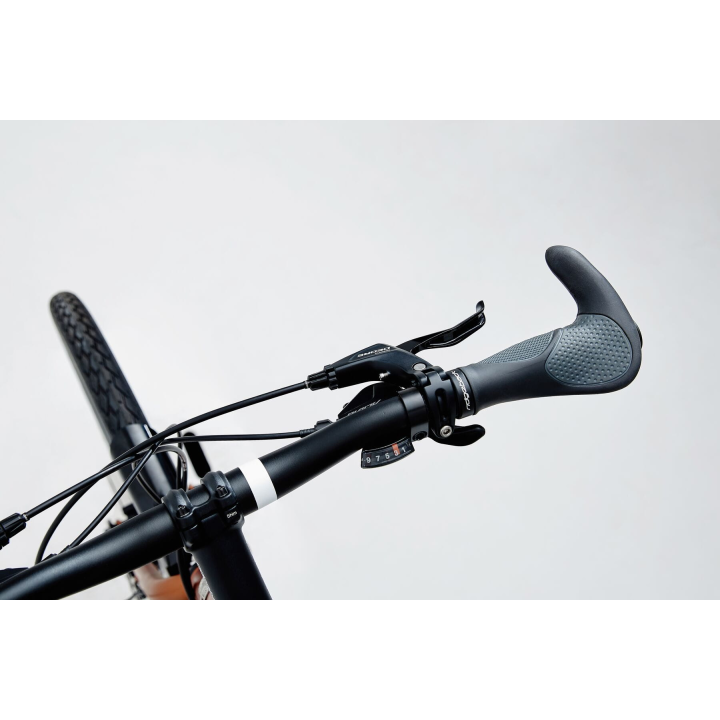 RIDGEBACK Expedition 