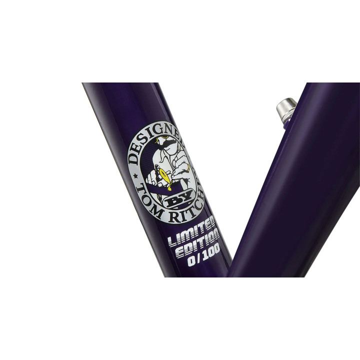 Ritchey Garden City Frameset | Acciaio single speed / fixed