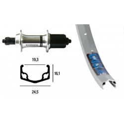 Ruota Posteriore 28x1.75 36F QR RM40 8v 519R arg/niro