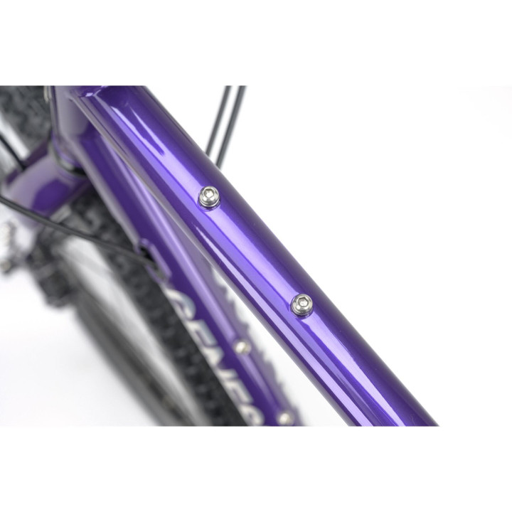 Genesis Croix de Fer 50 Reynolds 725 | GRX 2x12 Bikepacking Gravel Bike