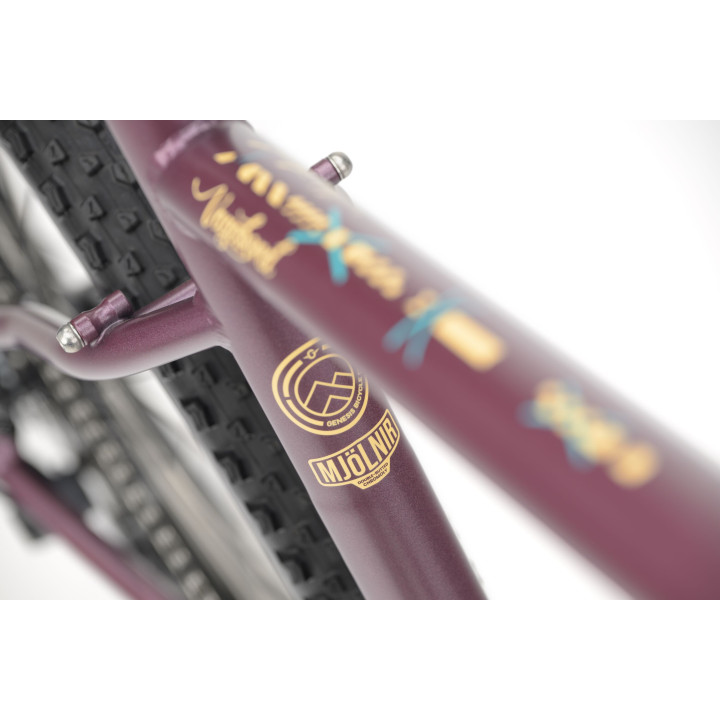 Genesis Vagabond 10: nuova geometria, più stabile off-road | Bikejamming