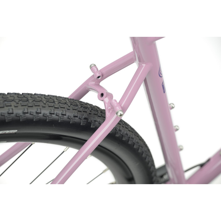 Genesis Croix de Fer 40 GRX 1x12 | Gravel Reynolds 725 | Bikejamming