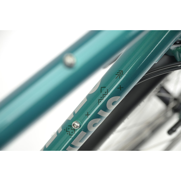 Genesis Tour de Fer 20 New Generation CUES 9 | Bikejamming