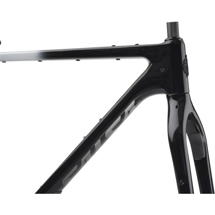 Salsa Cutthroat Frameset Carbonio | Telaio Bikepacking Tour Divide