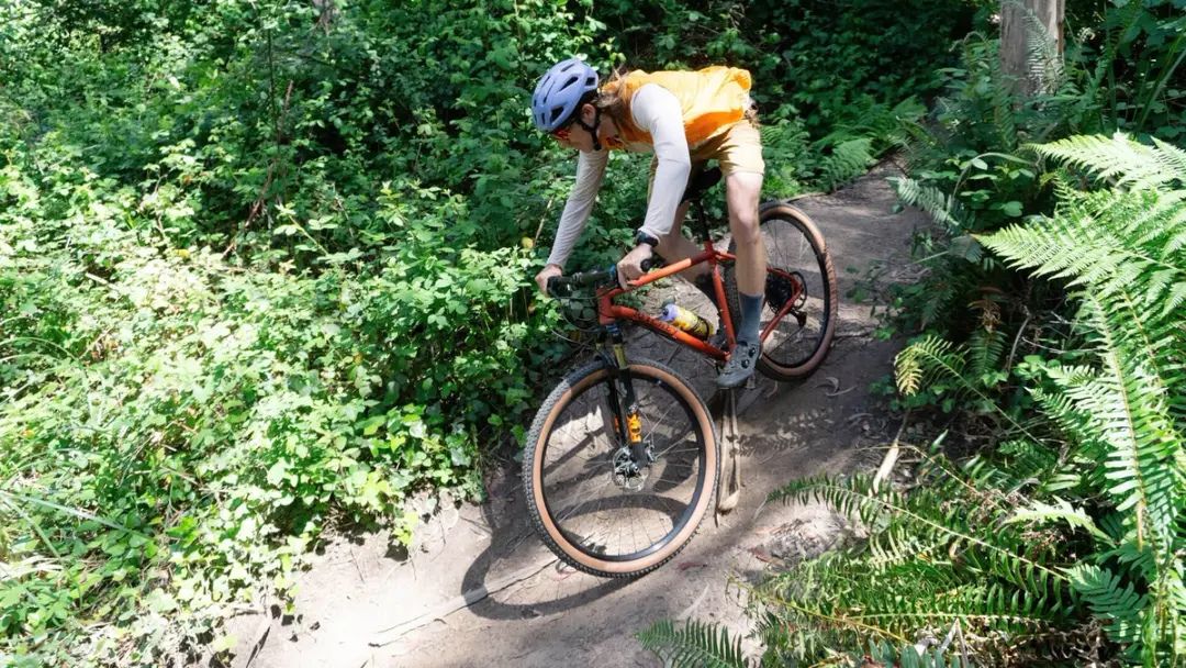 Telaio Ritchey su off-road tecnico